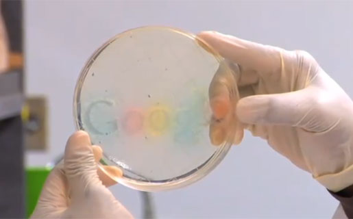 Logo vivo de Google