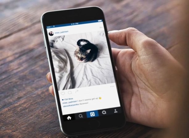 Instagram Ahora Permitira Hacer Zoom En Fotos Y Videos Del News Feed Redusers