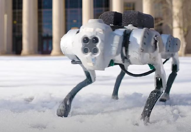 Así es DribbleBot, un perro robot capaz de regatear con una pelota